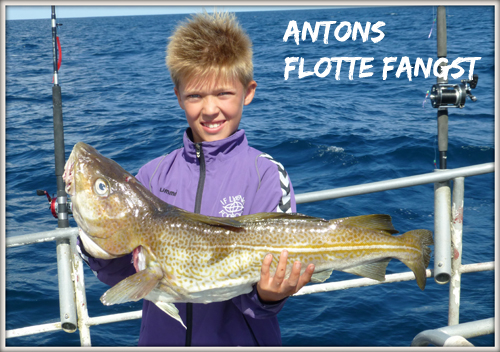 Antons-torsk