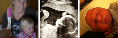 Gravid-2012-ny